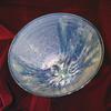Bowl light blue Northern Lights glaze  12' wide  $150
 Prices vary by size  from $30-200
 All Chatham Pottery pieces can be used in the conventional oven, microwave oven and the dishwasher.